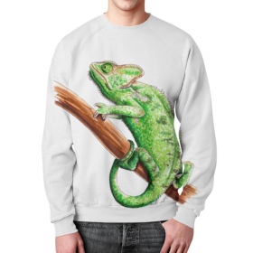 full_print_sweatshirt с принтом Зеленый хамелеон на ветке в Екатеринбурге,  |  | 