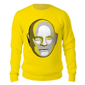 sweatshirt с принтом FANTOMAS в Екатеринбурге,  |  | 