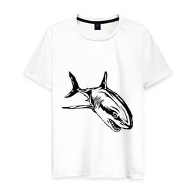 Мужская футболка хлопок с принтом Акула в Екатеринбурге, 100% хлопок | прямой крой, круглый вырез горловины, длина до линии бедер, слегка спущенное плечо. | shark | акула | животные | рыба | хищник