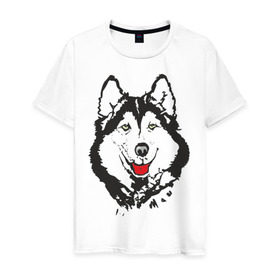Мужская футболка хлопок с принтом Хаски в Екатеринбурге, 100% хлопок | прямой крой, круглый вырез горловины, длина до линии бедер, слегка спущенное плечо. | dog | husky | животные | пес | песики | собака | хаски | хаски бандит