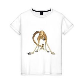 Женская футболка хлопок с принтом Мадагаскар (3) в Екатеринбурге, 100% хлопок | прямой крой, круглый вырез горловины, длина до линии бедер, слегка спущенное плечо | madagascar | жираф | мадагаскар