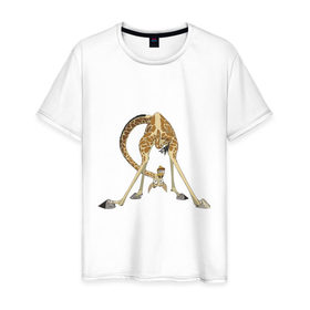Мужская футболка хлопок с принтом Мадагаскар (3) в Екатеринбурге, 100% хлопок | прямой крой, круглый вырез горловины, длина до линии бедер, слегка спущенное плечо. | Тематика изображения на принте: madagascar | жираф | мадагаскар