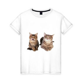 Женская футболка хлопок с принтом Кошка и котёнок в Екатеринбурге, 100% хлопок | прямой крой, круглый вырез горловины, длина до линии бедер, слегка спущенное плечо | 