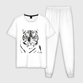 Мужская пижама хлопок с принтом Tiger (3) в Екатеринбурге, 100% хлопок | брюки и футболка прямого кроя, без карманов, на брюках мягкая резинка на поясе и по низу штанин
 | tiger | животные | тигр | хищник