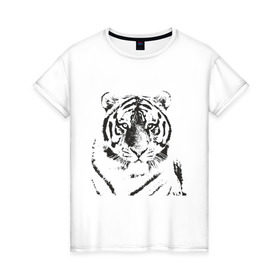 Женская футболка хлопок с принтом Tiger (3) в Екатеринбурге, 100% хлопок | прямой крой, круглый вырез горловины, длина до линии бедер, слегка спущенное плечо | tiger | животные | тигр | хищник