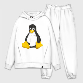 Мужской костюм хлопок OVERSIZE с принтом Linux (7) в Екатеринбурге,  |  | пингвин