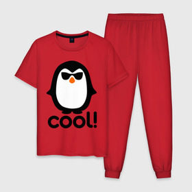 Мужская пижама хлопок с принтом Стильный клевый крутой пингвин в Екатеринбурге, 100% хлопок | брюки и футболка прямого кроя, без карманов, на брюках мягкая резинка на поясе и по низу штанин
 | пингвин