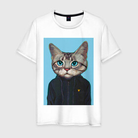 Мужская футболка хлопок с принтом Котэ в толстовке в Екатеринбурге, 100% хлопок | прямой крой, круглый вырез горловины, длина до линии бедер, слегка спущенное плечо. | голова кошки | кот | кот в одежде | кот в толстовке | кот на спорте | коте | котейка | котэ | кошка | кошка в толстовке | реальный поцык