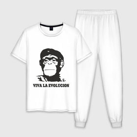 Мужская пижама хлопок с принтом Viva la evolucion в Екатеринбурге, 100% хлопок | брюки и футболка прямого кроя, без карманов, на брюках мягкая резинка на поясе и по низу штанин
 | 
