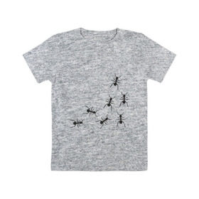 Детская футболка хлопок с принтом муравьи в Екатеринбурге, 100% хлопок | круглый вырез горловины, полуприлегающий силуэт, длина до линии бедер | Тематика изображения на принте: животные | звери | насекомые