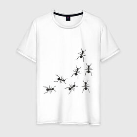 Мужская футболка хлопок с принтом муравьи в Екатеринбурге, 100% хлопок | прямой крой, круглый вырез горловины, длина до линии бедер, слегка спущенное плечо. | Тематика изображения на принте: животные | звери | насекомые
