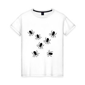 Женская футболка хлопок с принтом пауки в Екатеринбурге, 100% хлопок | прямой крой, круглый вырез горловины, длина до линии бедер, слегка спущенное плечо | животные | насекомые | паучки