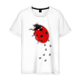 Мужская футболка хлопок с принтом Реалистичная божья коровка в Екатеринбурге, 100% хлопок | прямой крой, круглый вырез горловины, длина до линии бедер, слегка спущенное плечо. | божья коровка | животные | насекомые
