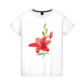 Женская футболка хлопок с принтом Red lily в Екатеринбурге, 100% хлопок | прямой крой, круглый вырез горловины, длина до линии бедер, слегка спущенное плечо | 8 марта | букет | красная лилия | лилия | международный женский день | цветы