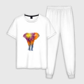 Мужская пижама хлопок с принтом Слон watercolor в Екатеринбурге, 100% хлопок | брюки и футболка прямого кроя, без карманов, на брюках мягкая резинка на поясе и по низу штанин
 | Тематика изображения на принте: слон