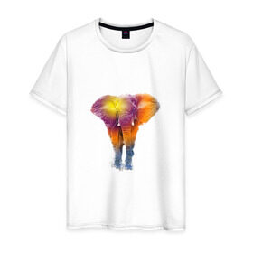 Мужская футболка хлопок с принтом Слон watercolor в Екатеринбурге, 100% хлопок | прямой крой, круглый вырез горловины, длина до линии бедер, слегка спущенное плечо. | слон