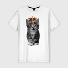 Мужская футболка премиум с принтом Meow kitten в Екатеринбурге, 92% хлопок, 8% лайкра | приталенный силуэт, круглый вырез ворота, длина до линии бедра, короткий рукав | kitten | meow | meow kitten | киса | кот | котик | котэ | котяра | кошка | прикольный кот