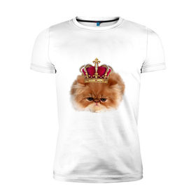 Мужская футболка премиум с принтом Sad cat в Екатеринбурге, 92% хлопок, 8% лайкра | приталенный силуэт, круглый вырез ворота, длина до линии бедра, короткий рукав | Тематика изображения на принте: 