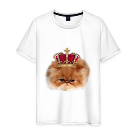 Мужская футболка хлопок с принтом Sad cat в Екатеринбурге, 100% хлопок | прямой крой, круглый вырез горловины, длина до линии бедер, слегка спущенное плечо. | 