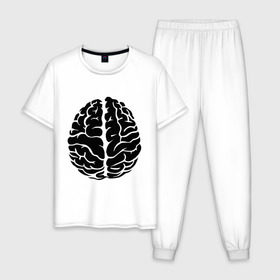 Мужская пижама хлопок с принтом Он - мозг в Екатеринбурге, 100% хлопок | брюки и футболка прямого кроя, без карманов, на брюках мягкая резинка на поясе и по низу штанин
 | голова | левое и правое полушарие | мозг | он   мозг | открытый мозг | парные | полушарие мозга