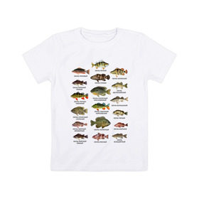 Детская футболка хлопок с принтом Окуни. в Екатеринбурге, 100% хлопок | круглый вырез горловины, полуприлегающий силуэт, длина до линии бедер | Тематика изображения на принте: для рыбака | окуни | окунь | подарок рыбаку | рыбаку | рыбалка