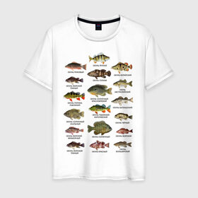 Мужская футболка хлопок с принтом Окуни. в Екатеринбурге, 100% хлопок | прямой крой, круглый вырез горловины, длина до линии бедер, слегка спущенное плечо. | для рыбака | окуни | окунь | подарок рыбаку | рыбаку | рыбалка