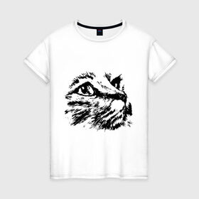 Женская футболка хлопок с принтом Образ кошки в Екатеринбурге, 100% хлопок | прямой крой, круглый вырез горловины, длина до линии бедер, слегка спущенное плечо | киса | котенок | кошка