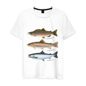 Мужская футболка хлопок с принтом Лососевые в Екатеринбурге, 100% хлопок | прямой крой, круглый вырез горловины, длина до линии бедер, слегка спущенное плечо. | горбуша | кижуч | рыба | рыбалка | рыбачить | туризм | туристические | туристу | улов | форель