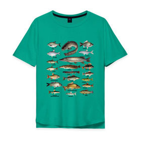 Мужская футболка хлопок Oversize с принтом Популярные виды рыб в Екатеринбурге, 100% хлопок | свободный крой, круглый ворот, “спинка” длиннее передней части | Тематика изображения на принте: рыба | рыбалка | рыбачить | туризм | туристические | туристу | улов