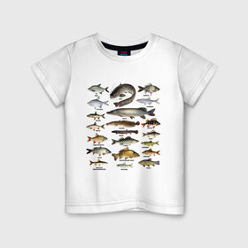 Детская футболка хлопок с принтом Популярные виды рыб в Екатеринбурге, 100% хлопок | круглый вырез горловины, полуприлегающий силуэт, длина до линии бедер | Тематика изображения на принте: рыба | рыбалка | рыбачить | туризм | туристические | туристу | улов