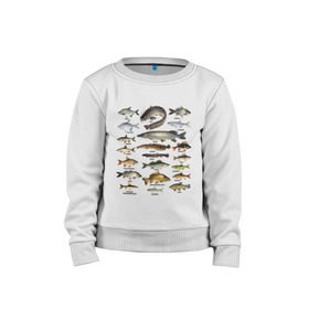 Детский свитшот хлопок с принтом Популярные виды рыб в Екатеринбурге, 100% хлопок | круглый вырез горловины, эластичные манжеты, пояс и воротник | рыба | рыбалка | рыбачить | туризм | туристические | туристу | улов