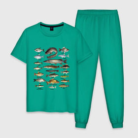 Мужская пижама хлопок с принтом Популярные виды рыб в Екатеринбурге, 100% хлопок | брюки и футболка прямого кроя, без карманов, на брюках мягкая резинка на поясе и по низу штанин
 | рыба | рыбалка | рыбачить | туризм | туристические | туристу | улов