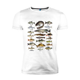 Мужская футболка премиум с принтом Популярные виды рыб в Екатеринбурге, 92% хлопок, 8% лайкра | приталенный силуэт, круглый вырез ворота, длина до линии бедра, короткий рукав | Тематика изображения на принте: рыба | рыбалка | рыбачить | туризм | туристические | туристу | улов