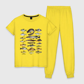 Женская пижама хлопок с принтом Популярные виды рыб в Екатеринбурге, 100% хлопок | брюки и футболка прямого кроя, без карманов, на брюках мягкая резинка на поясе и по низу штанин | рыба | рыбалка | рыбачить | туризм | туристические | туристу | улов