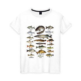 Женская футболка хлопок с принтом Популярные виды рыб в Екатеринбурге, 100% хлопок | прямой крой, круглый вырез горловины, длина до линии бедер, слегка спущенное плечо | рыба | рыбалка | рыбачить | туризм | туристические | туристу | улов
