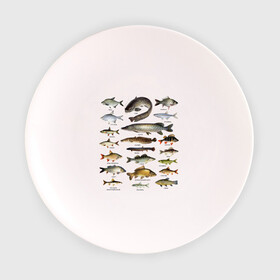 Тарелка 3D с принтом Популярные виды рыб в Екатеринбурге, фарфор | диаметр - 210 мм
диаметр для нанесения принта - 120 мм | Тематика изображения на принте: рыба | рыбалка | рыбачить | туризм | туристические | туристу | улов