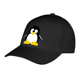 Бейсболка с принтом Битовый пингвин Linux в Екатеринбурге, 100% хлопок | классический козырек, металлическая застежка-регулятор размера | админам | компьютерные | линукс | операционная система | ос