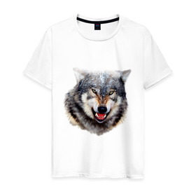 Мужская футболка хлопок с принтом Волк в Екатеринбурге, 100% хлопок | прямой крой, круглый вырез горловины, длина до линии бедер, слегка спущенное плечо. | animals | mountain | wolf | волк | животные | прикольные картинки