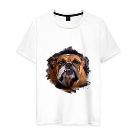 Мужская футболка хлопок с принтом Бульдог в Екатеринбурге, 100% хлопок | прямой крой, круглый вырез горловины, длина до линии бедер, слегка спущенное плечо. | animals | dog | mountain | бульдог | животные | прикольные картинки | собака