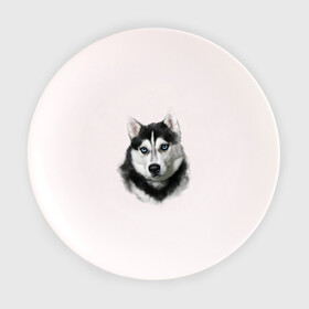 Тарелка 3D с принтом Хаски в Екатеринбурге, фарфор | диаметр - 210 мм
диаметр для нанесения принта - 120 мм | Тематика изображения на принте: animals | dog | mountain | животные | прикольные картинки | собака | хаски