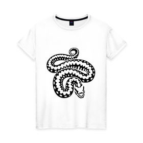 Женская футболка хлопок с принтом Силуэт змеи в Екатеринбурге, 100% хлопок | прямой крой, круглый вырез горловины, длина до линии бедер, слегка спущенное плечо | Тематика изображения на принте: животные | змеиная кожа | змея | прикольные картинки | силуэт змеи