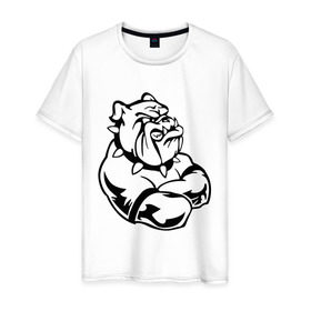 Мужская футболка хлопок с принтом Бульдог в Екатеринбурге, 100% хлопок | прямой крой, круглый вырез горловины, длина до линии бедер, слегка спущенное плечо. | бульдог | пес | силовой спор | собака | спорт