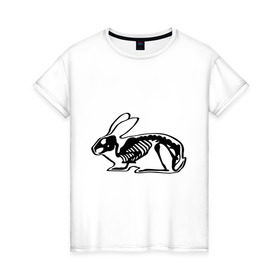 Женская футболка хлопок с принтом Рентген зайца в Екатеринбурге, 100% хлопок | прямой крой, круглый вырез горловины, длина до линии бедер, слегка спущенное плечо | скелет