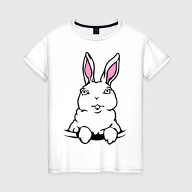 Женская футболка хлопок с принтом Зайчик в кармашке в Екатеринбурге, 100% хлопок | прямой крой, круглый вырез горловины, длина до линии бедер, слегка спущенное плечо | белый кролик | животные | зайка | зайчик в кармашке | кролик