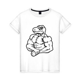 Женская футболка хлопок с принтом Раптор-силач в Екатеринбурге, 100% хлопок | прямой крой, круглый вырез горловины, длина до линии бедер, слегка спущенное плечо | бицепс | бодибилдер | качок | раптор | силач. динозавр | спортсмен