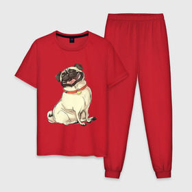 Мужская пижама хлопок с принтом Радостный мопс в Екатеринбурге, 100% хлопок | брюки и футболка прямого кроя, без карманов, на брюках мягкая резинка на поясе и по низу штанин
 | Тематика изображения на принте: милый | мопс | пес | радостная | собака