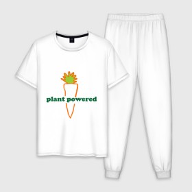 Мужская пижама хлопок с принтом Vegetarian plant powered в Екатеринбурге, 100% хлопок | брюки и футболка прямого кроя, без карманов, на брюках мягкая резинка на поясе и по низу штанин
 | carrot | plant | power | vegan. vegeterian | веган | вегетарианец | заряжен | морковь | овощи | растение | сила | фрукты