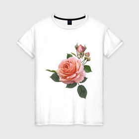 Женская футболка хлопок с принтом Розовая роза в Екатеринбурге, 100% хлопок | прямой крой, круглый вырез горловины, длина до линии бедер, слегка спущенное плечо | девушкам | розовая роза | цветок