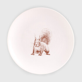 Тарелка с принтом Самая милая белочка в Екатеринбурге, фарфор | диаметр - 210 мм
диаметр для нанесения принта - 120 мм | белка | зверек | милый | пушистик