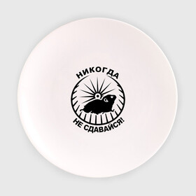 Тарелка 3D с принтом Хомяк в колесе в Екатеринбурге, фарфор | диаметр - 210 мм
диаметр для нанесения принта - 120 мм | колесо | не сдавайся | никогда | хомяк